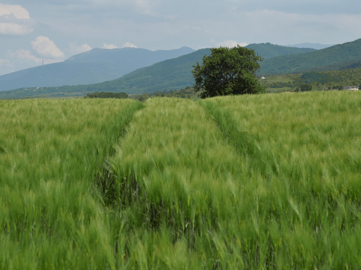 Not a long path ahead of me, but one that leads into the unknown.