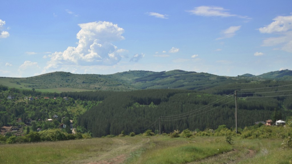 Mostly clear blue skies and sunny weather, the perfect forecast.