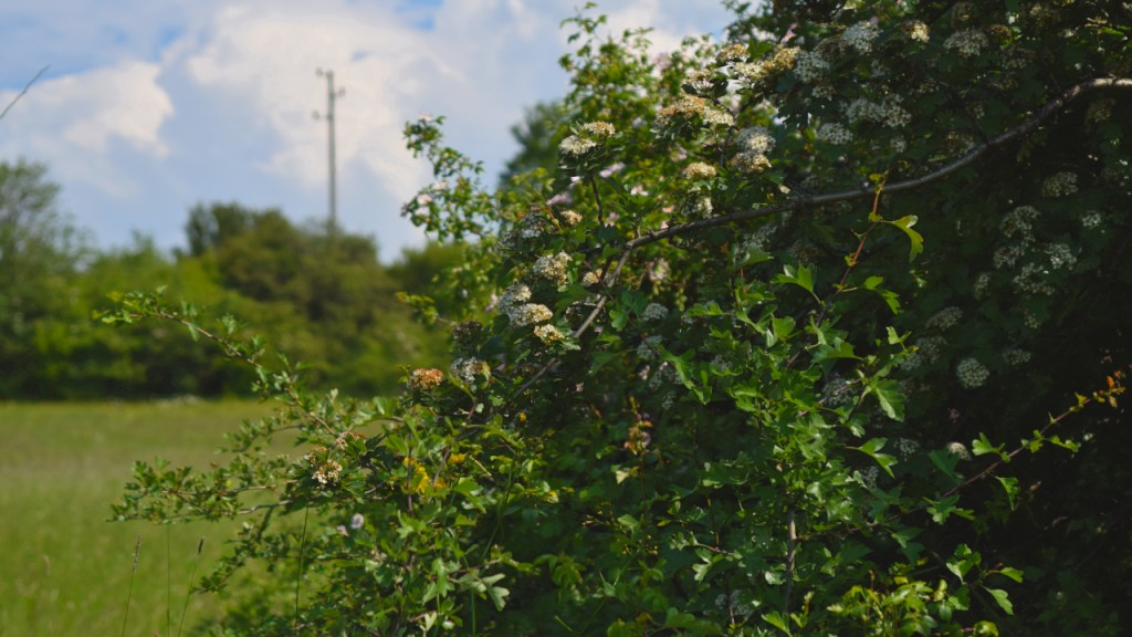 Sign of civilization and humanity can be seen over the horizon.