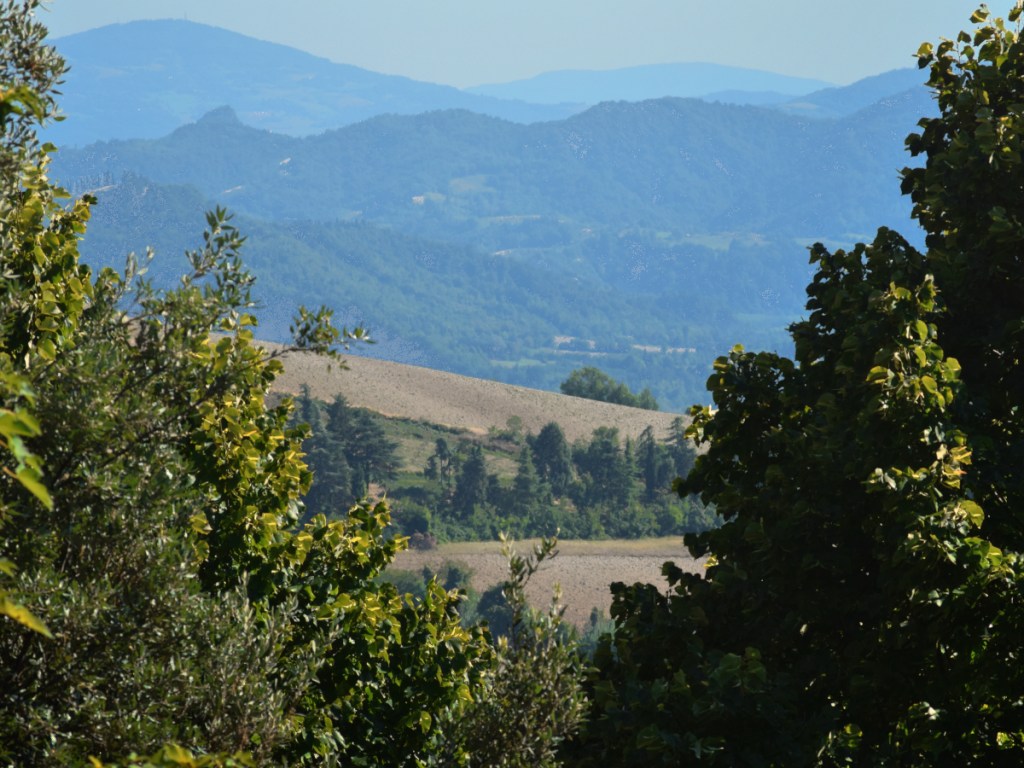 Two trees create a frame over a landscape from the hills over Bologna, Italy.